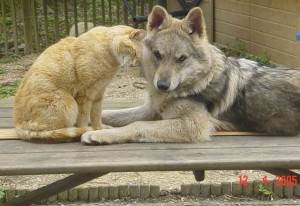 Lekker knuffelen Lekker knuffelen