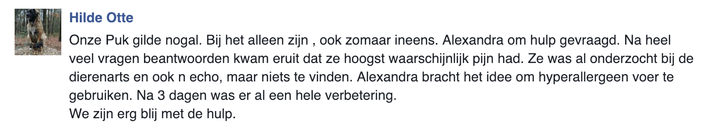 review Hilde Otten Verlatingsangst bij honden review ervaring